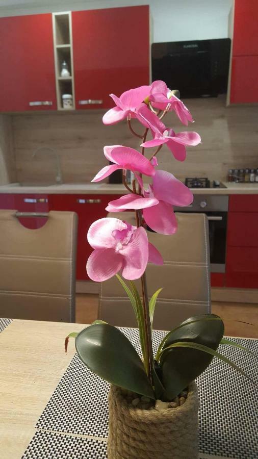 Apartment Goran & Nela อูมัค ภายนอก รูปภาพ